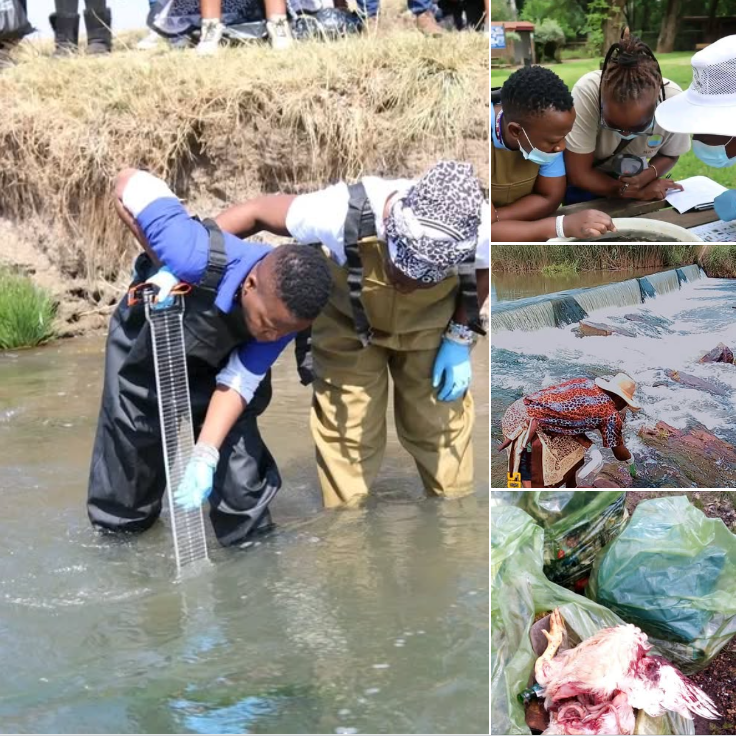 Screenshot 2025-12-10 091001